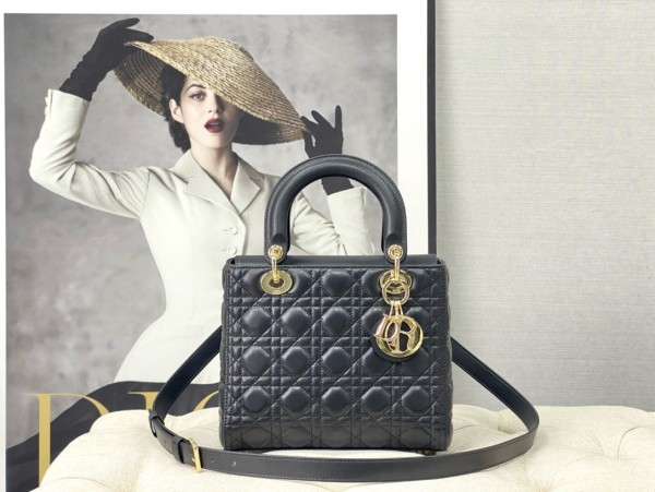 Dior(Lady)