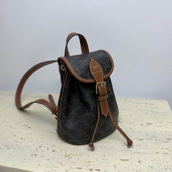 Celine(TRIOMPHE CANVAS)