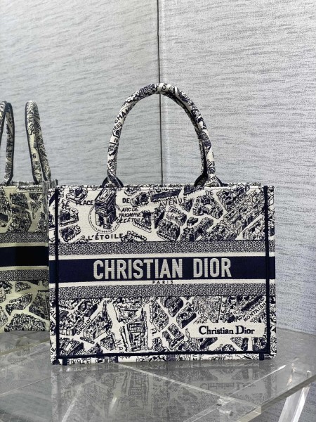 Dior(book)