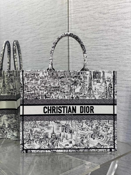 Dior(book)