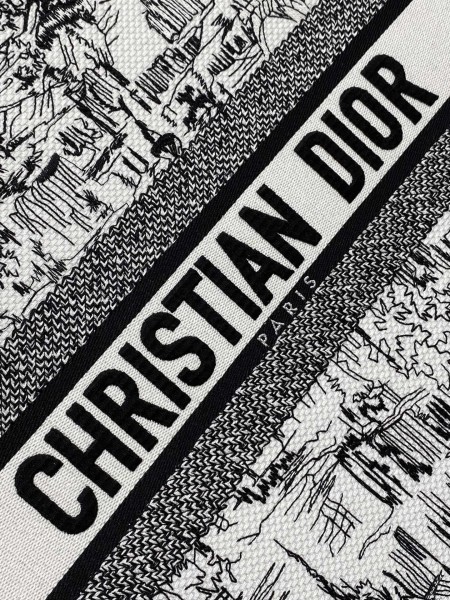 Dior(book)
