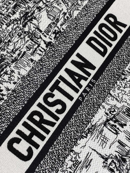 Dior(book)