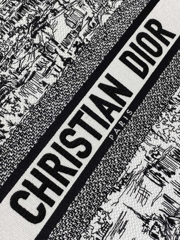 Dior(book)