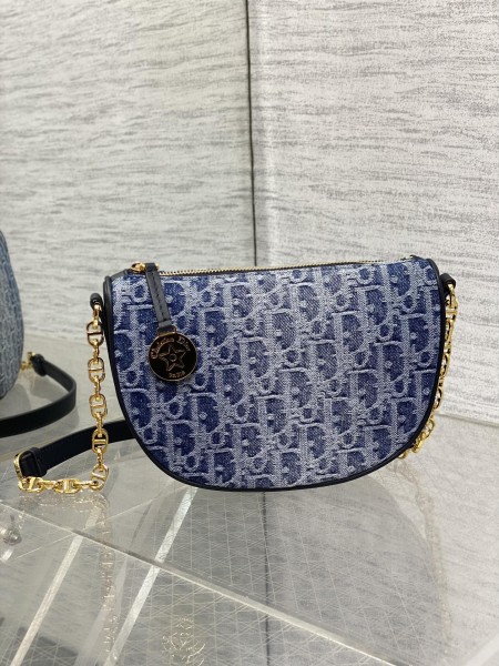 Dior(Callisto hobo)