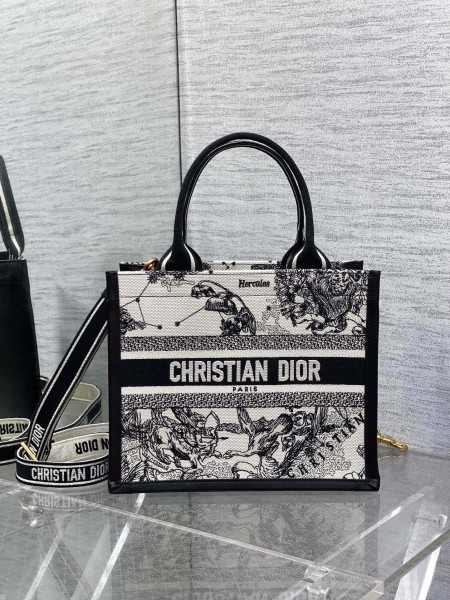 Dior(Book Tote)