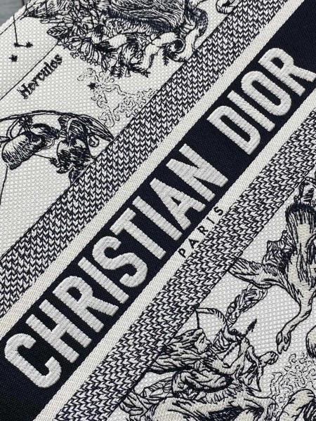 Dior(Book Tote)