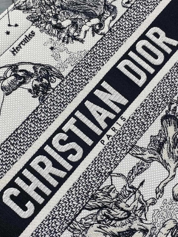 Dior(Book Tote)