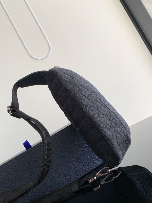 Dior(Scarab)