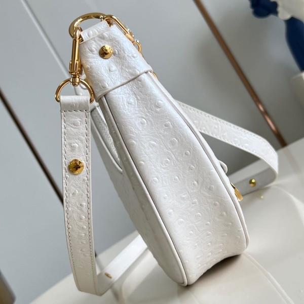 Louis Vuitton(Loop)